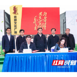 建设茶树基因库 湖南农业大学与望城联合打造茶业新高地