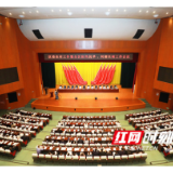 创新实干 打造乡村振兴的“望城样本”