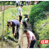 扮靓家园在行动 为民服务见真章