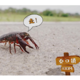 视频 | 咱们支部有力量