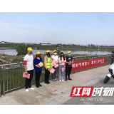 文明祭扫树新风  绿色清明践环保