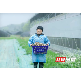 “院士农业”新潮带动农业发展“高潮”