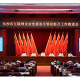 星城e线红 | 今年,长沙市互联网企业党建工作这样干!