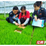 长沙：退税“甘霖”精准达 惠企利民正当时