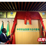 又一合作基地落户自贸区芙蓉区块！中非合作再上新台阶