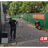 文明实践在雨花｜党员群众齐心聚力 共创文明典范城市
