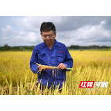 唯一获此殊荣个人！隆平高科水稻首席专家杨远柱获第七届湖南省省长质量奖