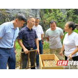 联盟聚力 共享“甜蜜”