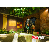 走进非洲“嗨”起来 雨花区打造中非经贸研学实践基地