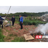 多管齐下强管控 筑牢禁烧“防火墙”
