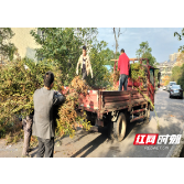 遏制“生态杀手”蔓延  筑牢生态环境安全屏障