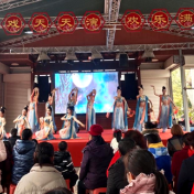 文艺汇演进乡村 欢歌笑语闹元宵