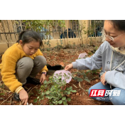 垃圾分类  一“植”有你