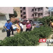 集中整治违规菜地 美化村域环境卫生