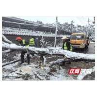 立足岗位做贡献 | 以雪为令 迅速行动  铲雪除冰解民忧