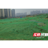 黄土地穿“绿衣” 清新空气护蓝天