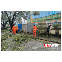 清理网格“拦路虎” 消除安全隐患