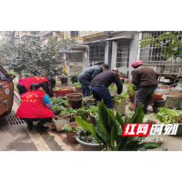 环保整治动真格  倡导文明新风尚
