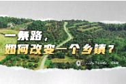 视频丨一条路如何改变一个乡镇？