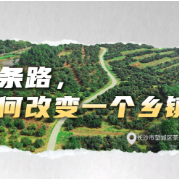 视频丨一条路如何改变一个乡镇？