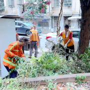科学防制精准灭蚊 切实维护居民身体健康