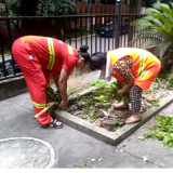 开展爱国卫生运动 全面筑牢健康防线