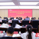 精准部署保平安 长沙县福临镇织密防线护“双节”