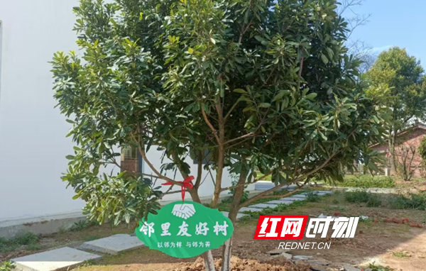 微信图片_20261010105440_87_89.png