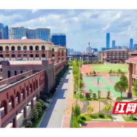 提质拓优 争先立标：炬力·星光·向未来