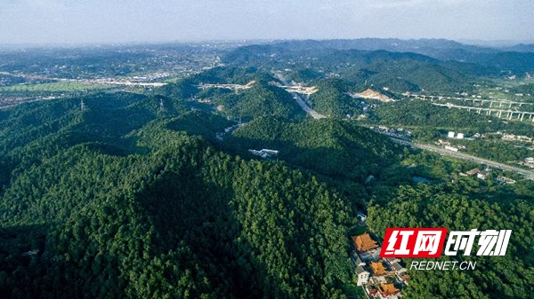 1、绿心公园.jpg