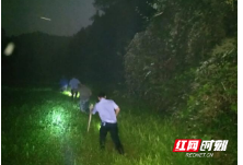 泸溪：7人找枞菌被困深山 民警干群连夜搜山8小时紧急营救