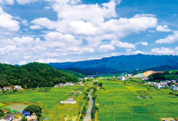 浏阳市蕉溪镇：宜居宜业宜游，激活乡村振兴“一池春水”