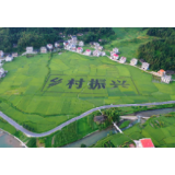 不一样的小康路丨美丽乡村看新化：一村一户皆美景