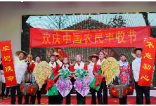 “紫薯飘香 童话小镇” 长沙县第一届红薯文化旅游节启幕