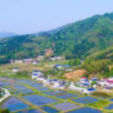 浏阳蕉溪镇： 宣传巡查两手抓 织密森林防火安全网
