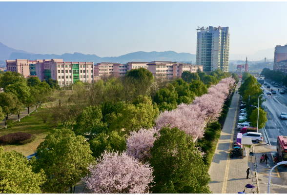 初春的味道丨慈利县一中“云赏花”：隔着屏幕都能感受到甜香的空气