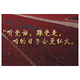 “听党话，跟党走，咱的日子会更红火。”