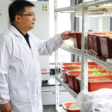 二十大时光|让青春在全面建设社会主义现代化国家的火热实践中绽放绚丽之花——党的二十大报告在全国高校青年师生中引起强烈反响