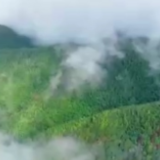 江河奔腾看中国丨探秘闽江之源 珍稀动植物数不胜数