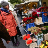 欧盟对俄油限价施压能否奏效