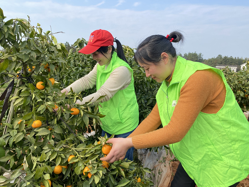微信截图_20220302093358.png