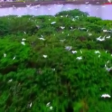 安徽庐江:千年古县展新颜