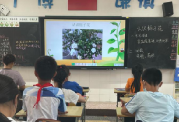 “栀子花”跨学科生态课在湘府英才小学五年级课程上“遍地开花”