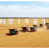 大时代丨济宁:一脉相承中华传统文化活水 “孔孟故里”谱写“两创”新篇