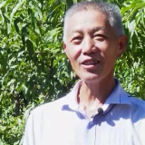 在希望的田野上丨喜迎丰收季 各地采收忙