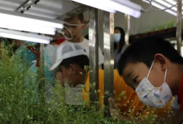 中南学子返家乡：做儿童生涯教育的衔接者