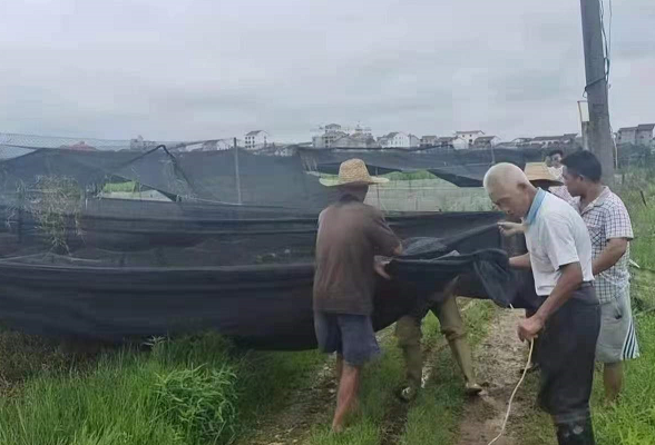 临湘市：全力推进“利剑”行动  筑牢生态安全底线