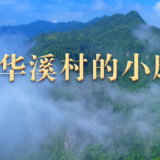 跟着总书记看中国|华溪村的小康生活