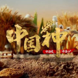 中国种·中国心 | 攥紧中国种子 端稳中国饭碗