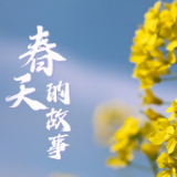 春天的故事丨湘潭县：梅园踏雨寻香